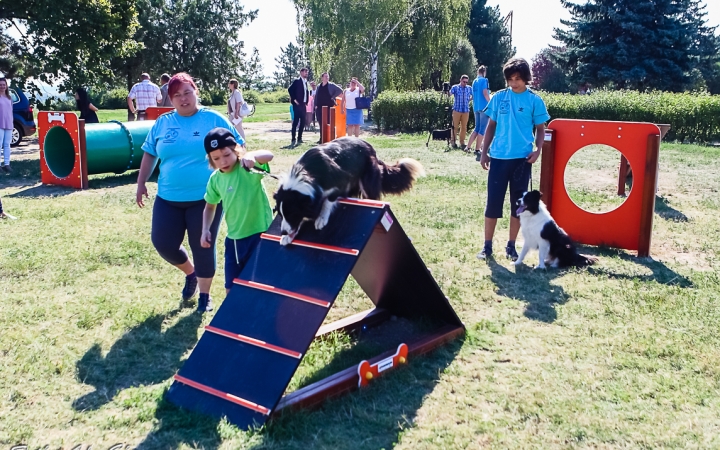 Kutya jó kalandok várnak itt!