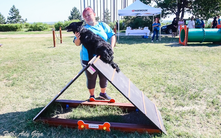 Joy határozta meg életútját