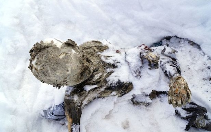 Ötezer éves ükapánk – és a halálos átok