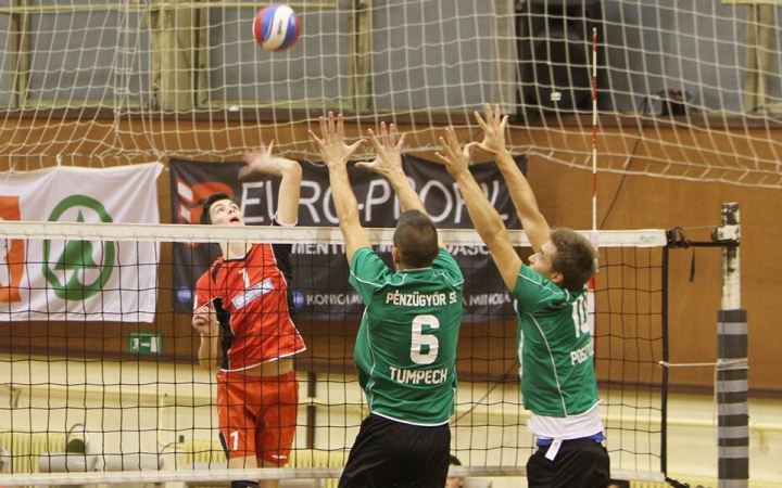 Röplabda: visszavágásban bízva