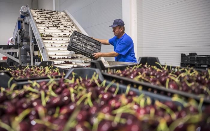 Mennyi az ideális munkaidő?