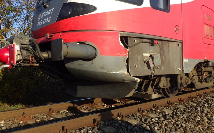 Bivalyokat gázolt a vonat