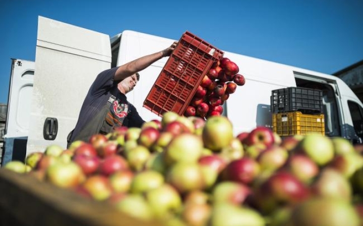 Minden nap egy alma és a doktor alma