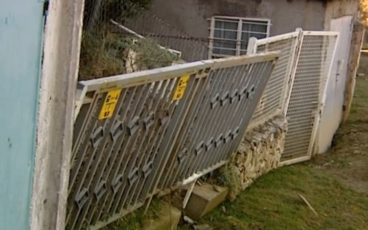 Kulcsi partfal: már nagyon mozog!