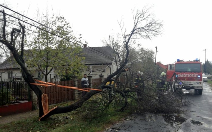 Kidőlt fák, leszakadt tetőlemezek