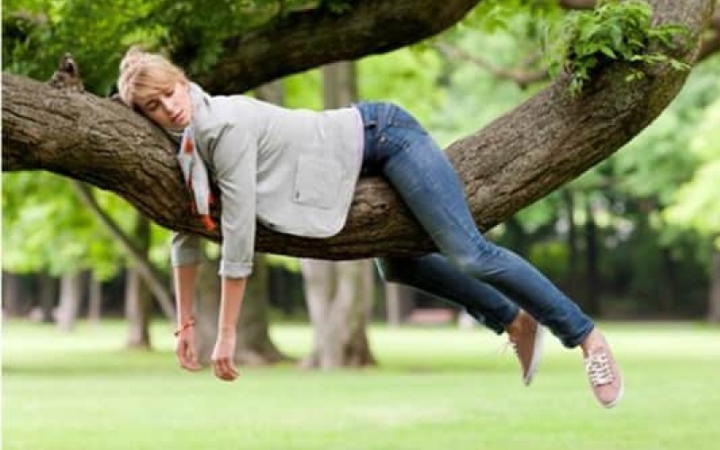 D+ TV Híradó - Ősz, felkészülés, pályázat