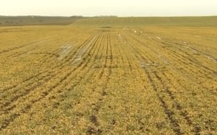 A földeken is prolémát okoz a víz