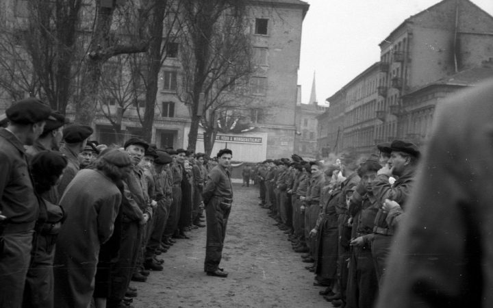 Cihika és az ideges elfajzás
