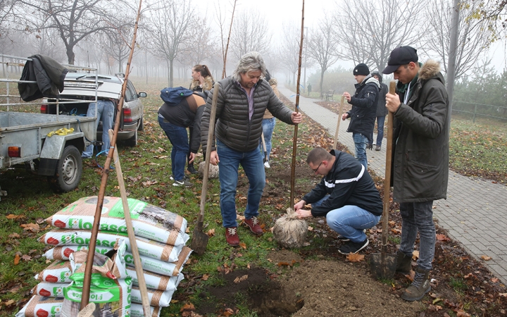 Tizenöt új "McHársfát" ültettek