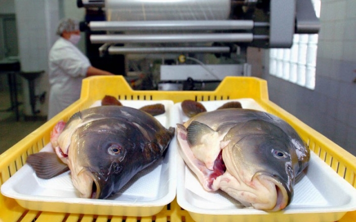 Jövőre olcsóbb lesz a hal