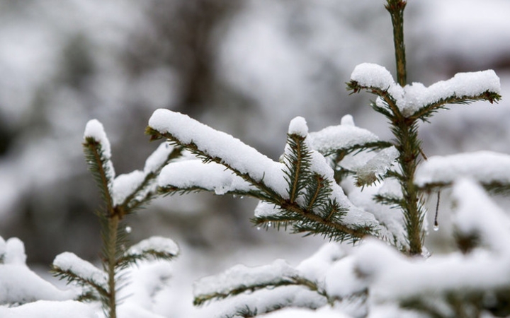 Idén nem lesz fehér karácsony