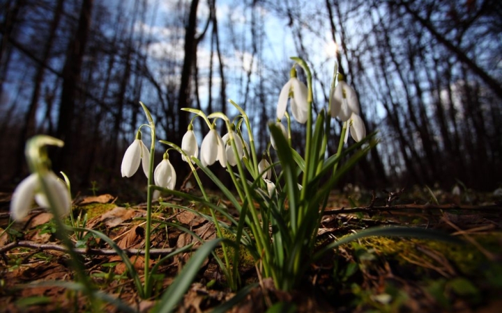 Megbolondult az időjárás?