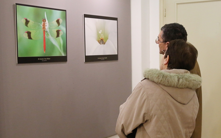 D+ TV Híradó - Fotókiállítás, vereség