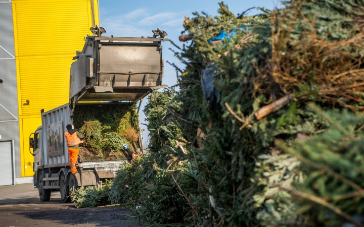 A kukák mellé tegyék a fenyőfákat!