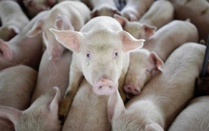 Valakinek nagy esze volt...