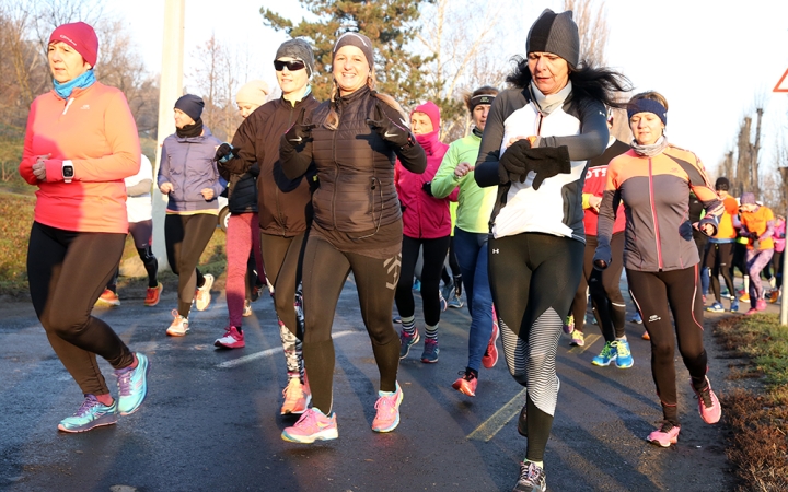 D+ Híradó - Figyelmeztetés, ételláda