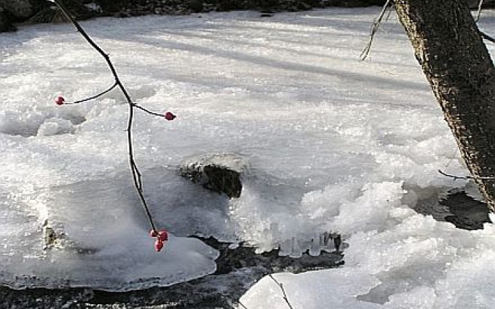 Mátyás, a jégtörő