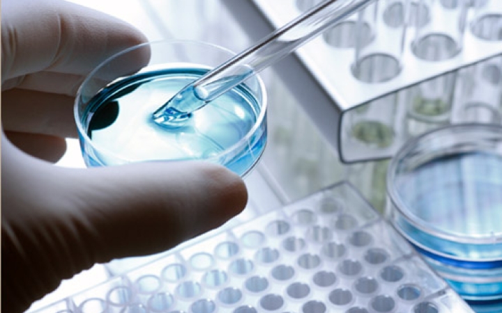 Megvan a rák ellenszere?