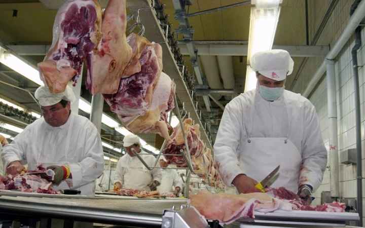 Eddig elkerülte hazánkat az afrikai sertéspestis