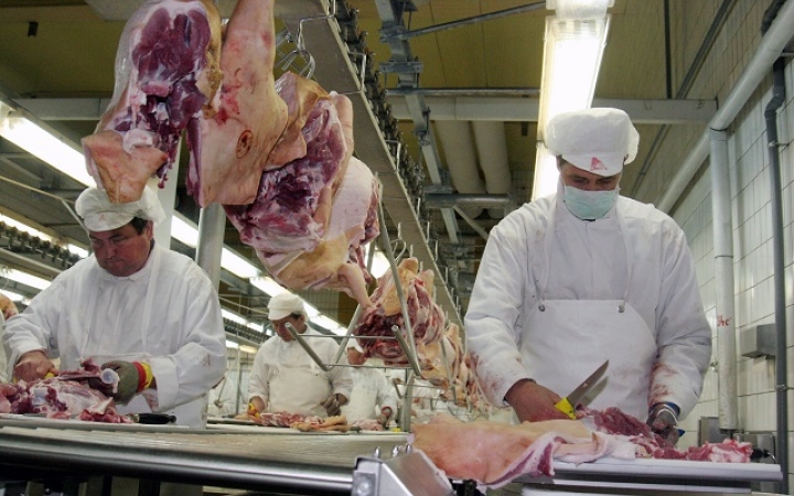 Eddig elkerülte hazánkat az afrikai sertéspestis