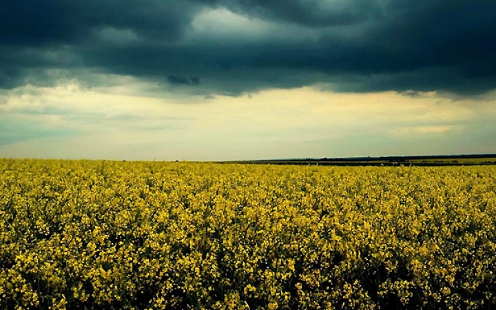 Heti meteo: derűre ború
