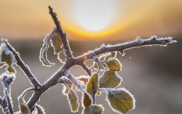 D+ Híradó - Fagykár, VB a jégcsarnokban
