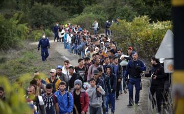 A balos svéd kormány szavazatokért engedi be a migránsokat