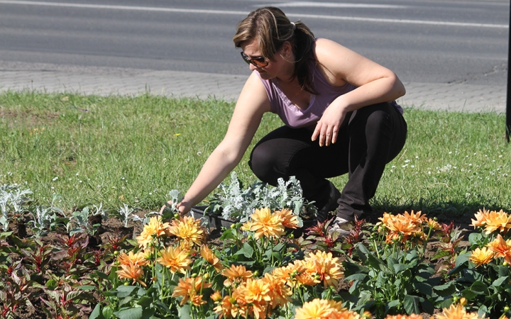 Szép lassan kitavaszodik