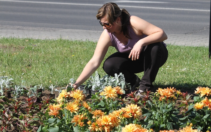 Szép lassan kitavaszodik
