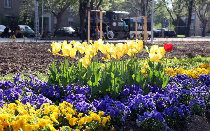 D+ Híradó - Virágosítás, szúnyogirtás