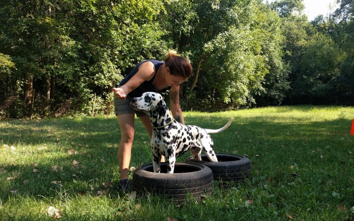 Kutyás foglalkozások testközelből