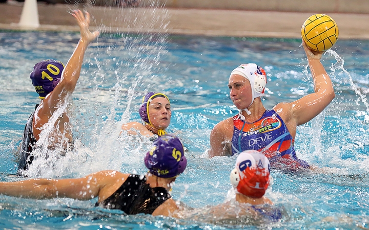 D+ Híradó - Gyümölcs, eredmények