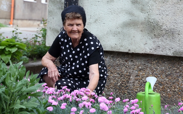 Miklánné Jolika és a Görbe utcai rózsák