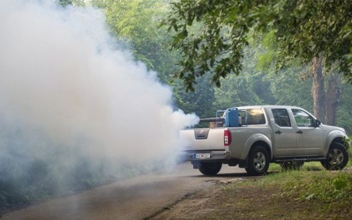 Szúnyogirtás lesz a városban