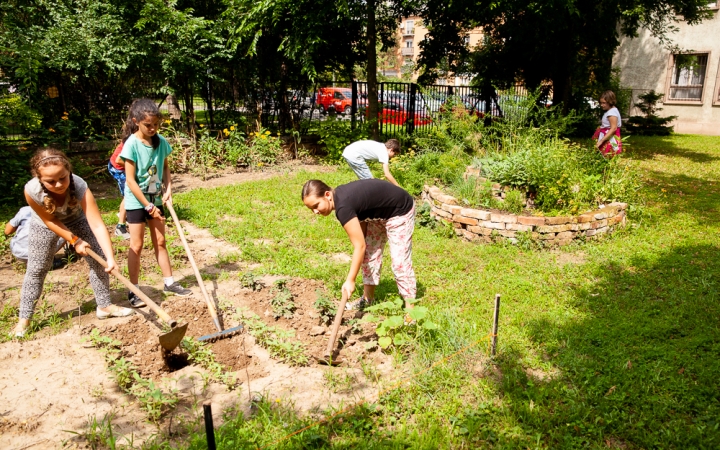 Kis kertészek a fűszerkertben