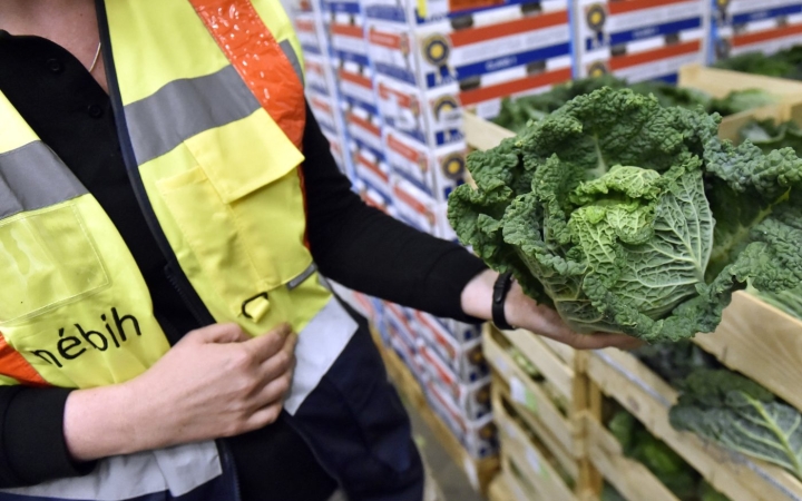 Nyári razziát tart a NÉBIH