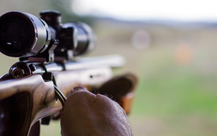 D+ Híradó - Szurkolás, felújítás