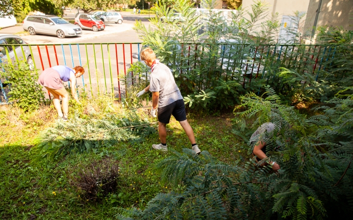 D+ Híradó - Cserkészek, Liget