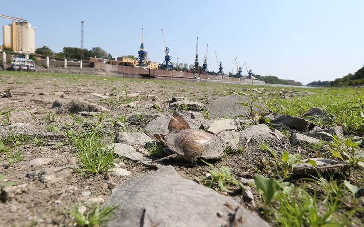 D+ Híradó - Aszály, kiállítás