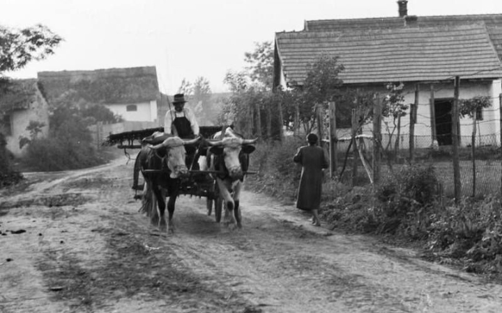 Nyár, orkán, jóvátétel…