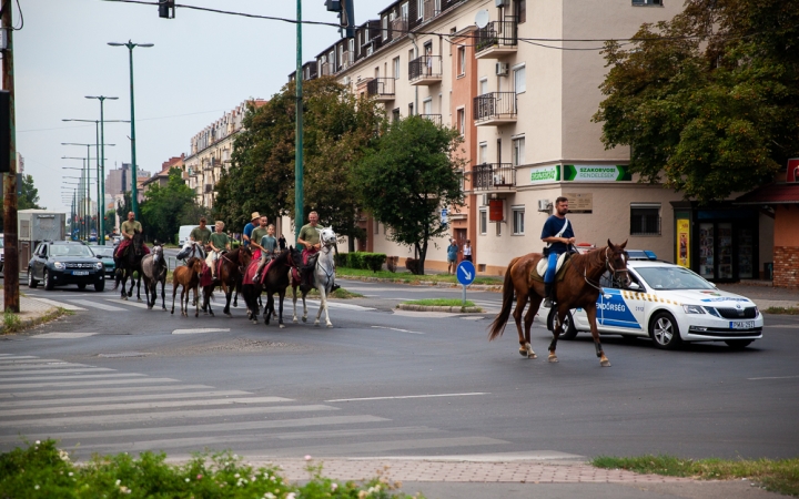 D+ Híradó - Zarándoklat, focikupa