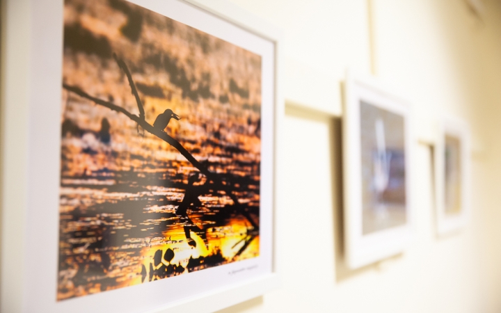 A harmincadik kiállítás