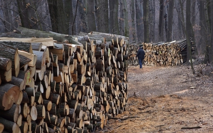 D+ Híradó - Rajzverseny, támogatás