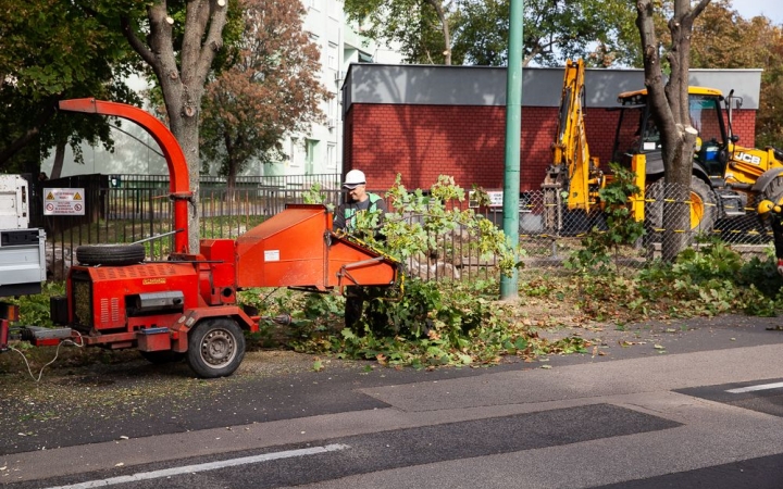 Figyelnek a növényzetre!