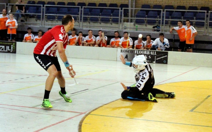 Biztos siker hazai pályán