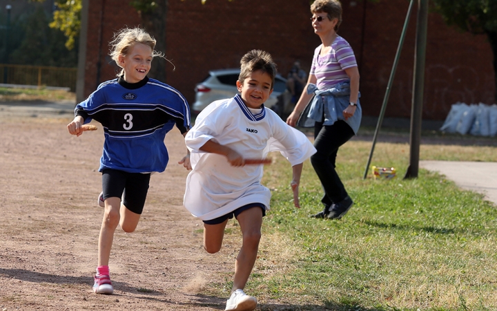 D+ Híradó - Kódolás éjszakája, csutaváltó