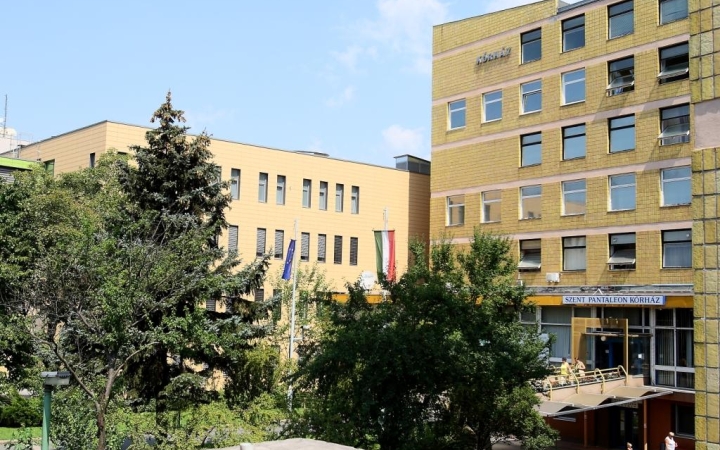 D+ Híradó - Ősbemutató előtt, jótékonysági bál