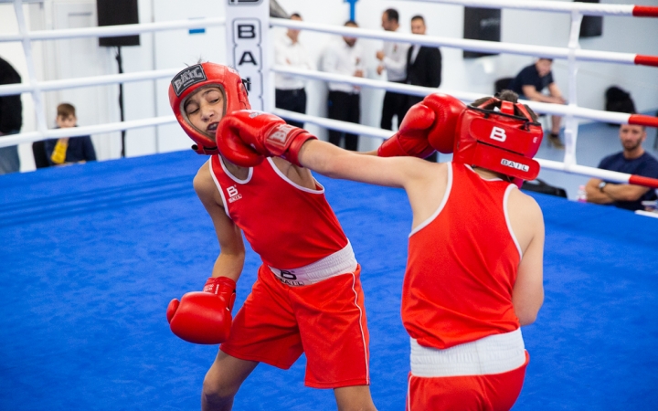 D+ Híradó - Termés, box kupa