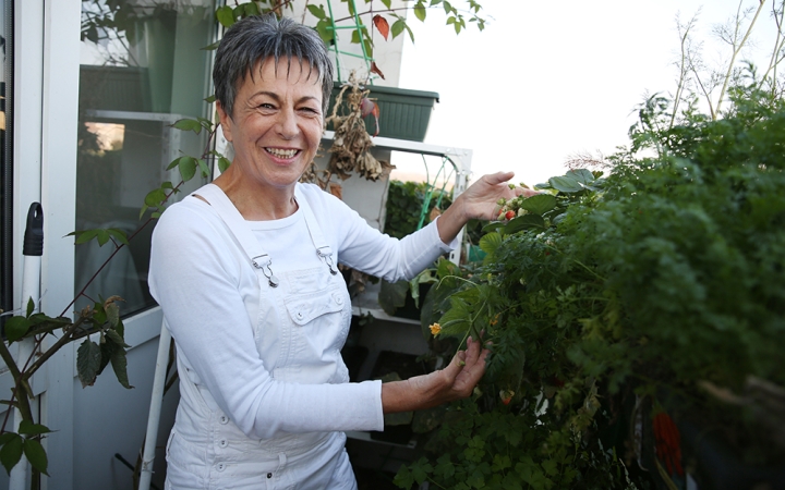 Zöldséges kert az erkélyen