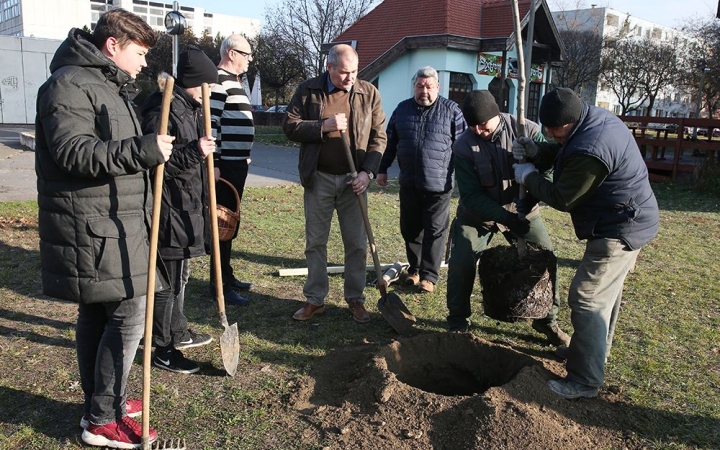 Faültetés a Béke városrészben